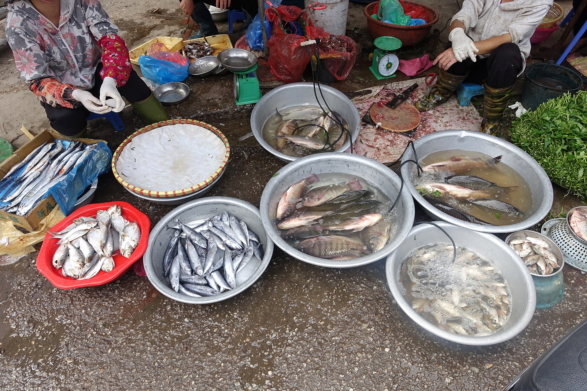 Fresh fish, anchovy among them, in a Vietnamese street market